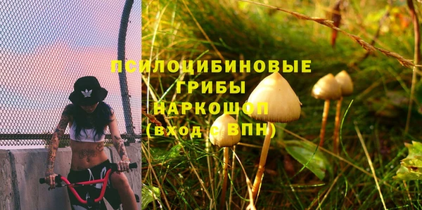 ALPHA PVP Алексин